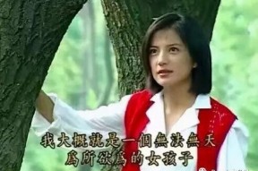 娱乐吃瓜实锤小说在线阅读