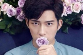 明星娱乐圈吃瓜节目推荐,明星幕后故事大起底